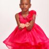The Pink Show-Stopper Dress