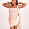 Dally Mini Drapped Mini Dress