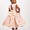Zilpa Golden Grace Dress