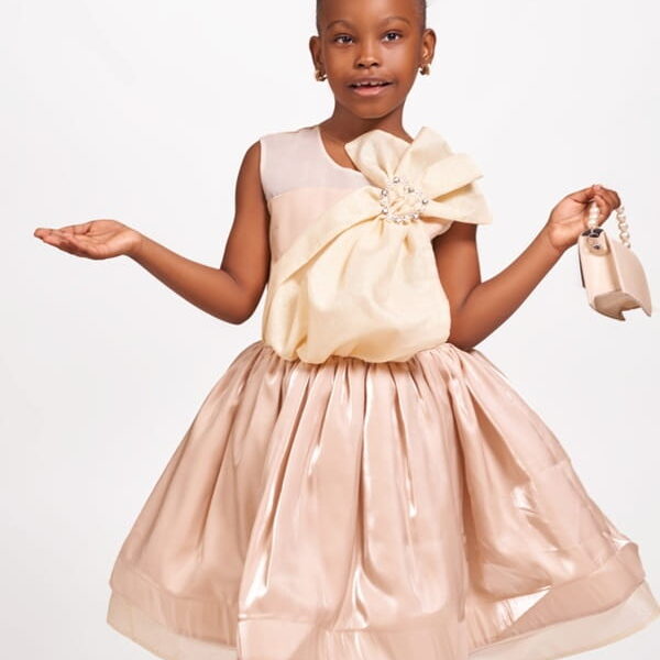 Zilpa Golden Grace Dress